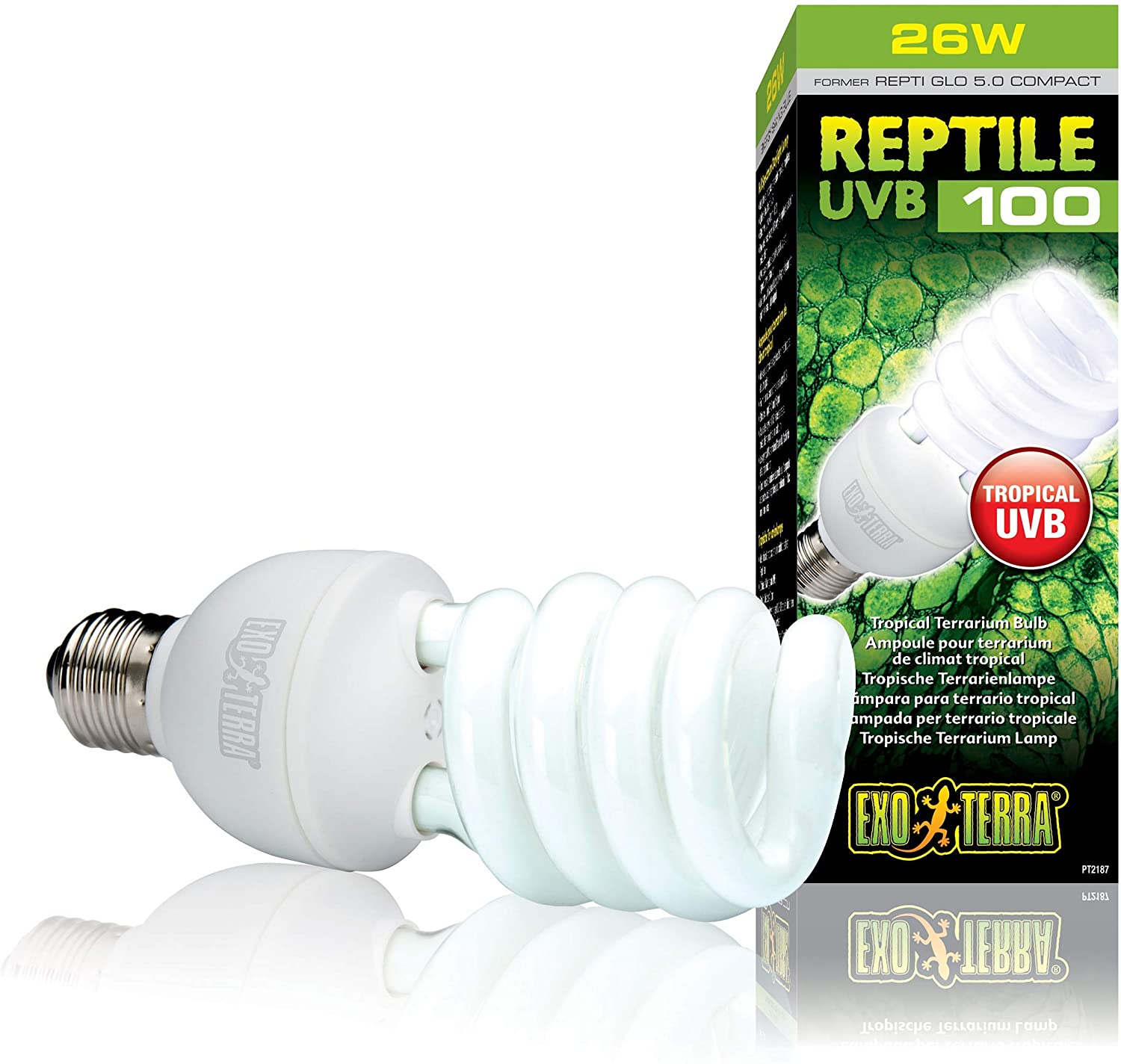 The Best Basking Light for Turtles A Comprehensive Buying Guide