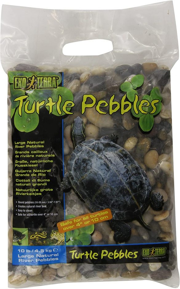 The Best Substrate for Turtles A Detailed Buying Guide